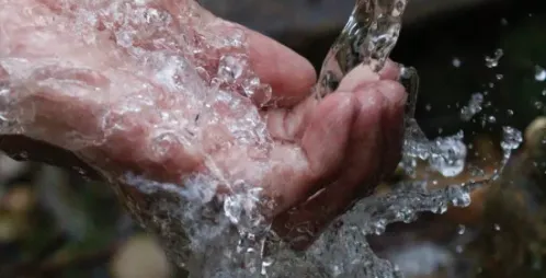 What Does “Frequent” Handwashing Mean?
